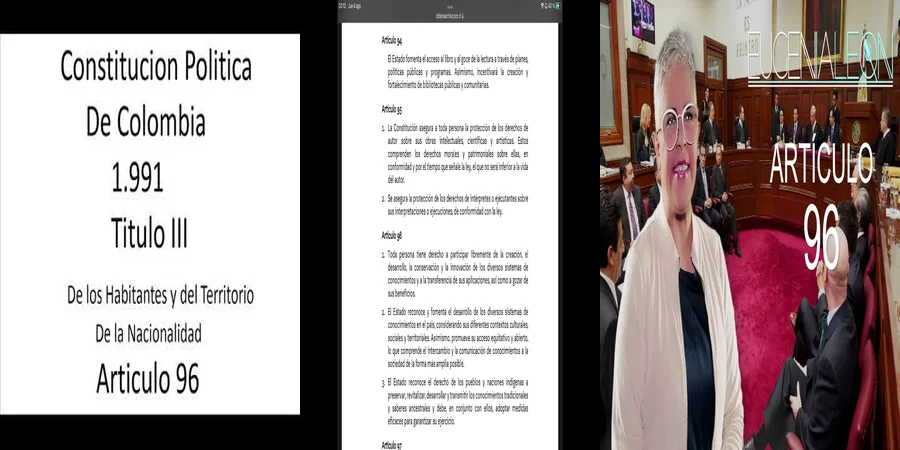 "¿Qué Implicaciones Tiene el Artículo 96 en México para Abogados?"