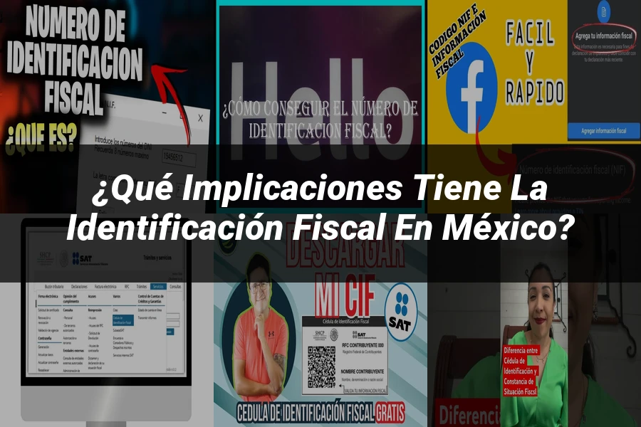 "¿Qué Implicaciones Tiene la Identificación Fiscal en México?"