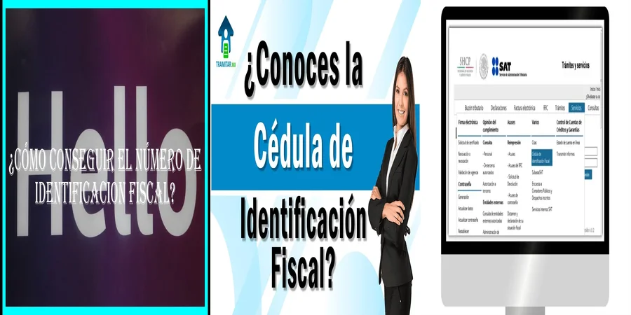 "¿Qué Implicaciones Tiene la Identificación Fiscal en México?"