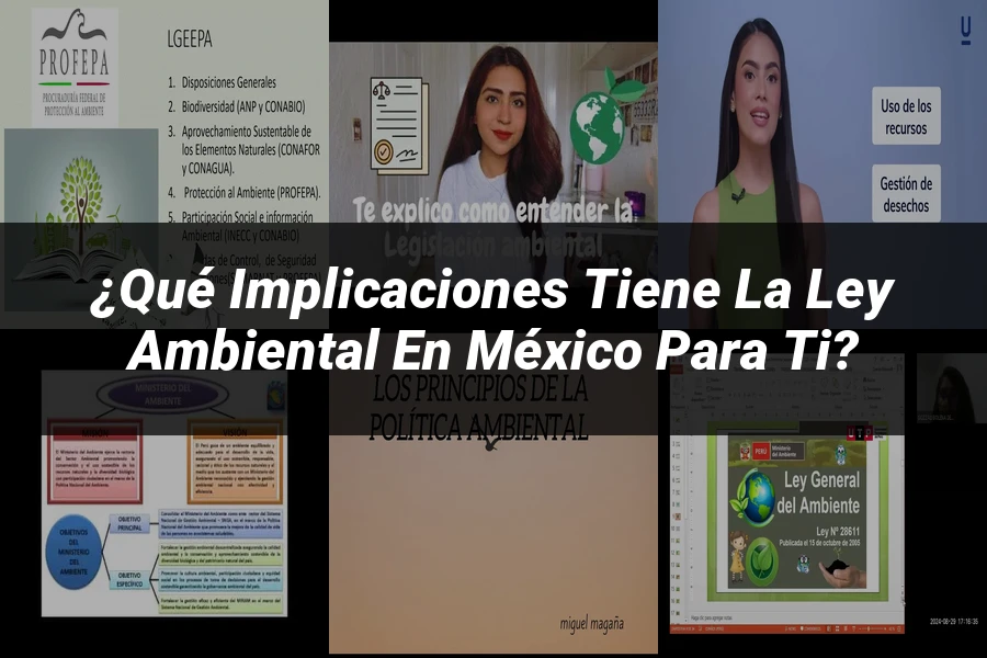 "¿Qué Implicaciones Tiene la Ley Ambiental en México para Ti?"