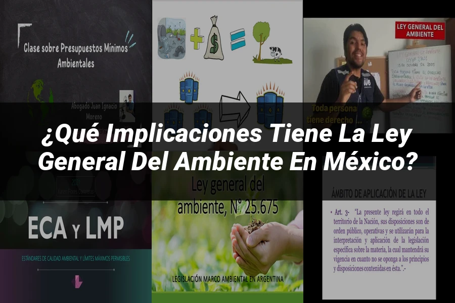 "¿Qué Implicaciones Tiene la Ley General del Ambiente en México?"