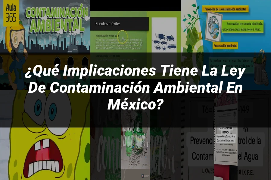 "¿Qué Implicaciones Tiene la Ley de Contaminación Ambiental en México?"