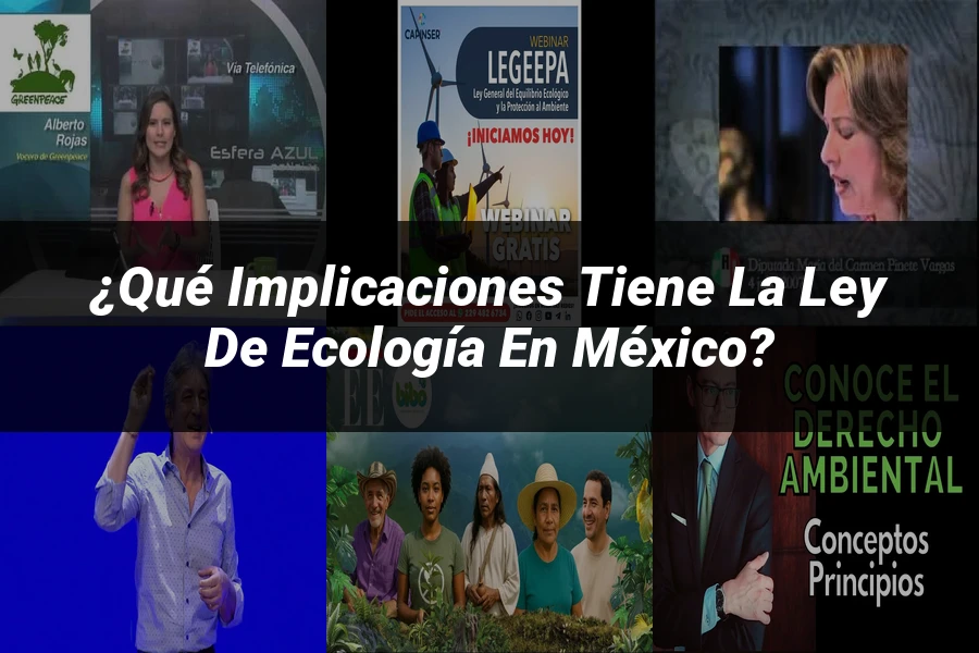 "¿Qué Implicaciones Tiene la Ley de Ecología en México?"