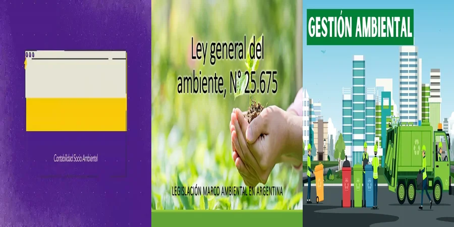 "¿Qué Implicaciones Tiene la Ley de Gestión Ambiental en México?"