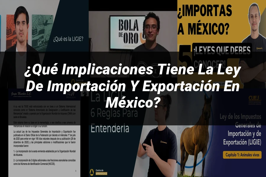 "¿Qué Implicaciones Tiene la Ley de Importación y Exportación en México?"