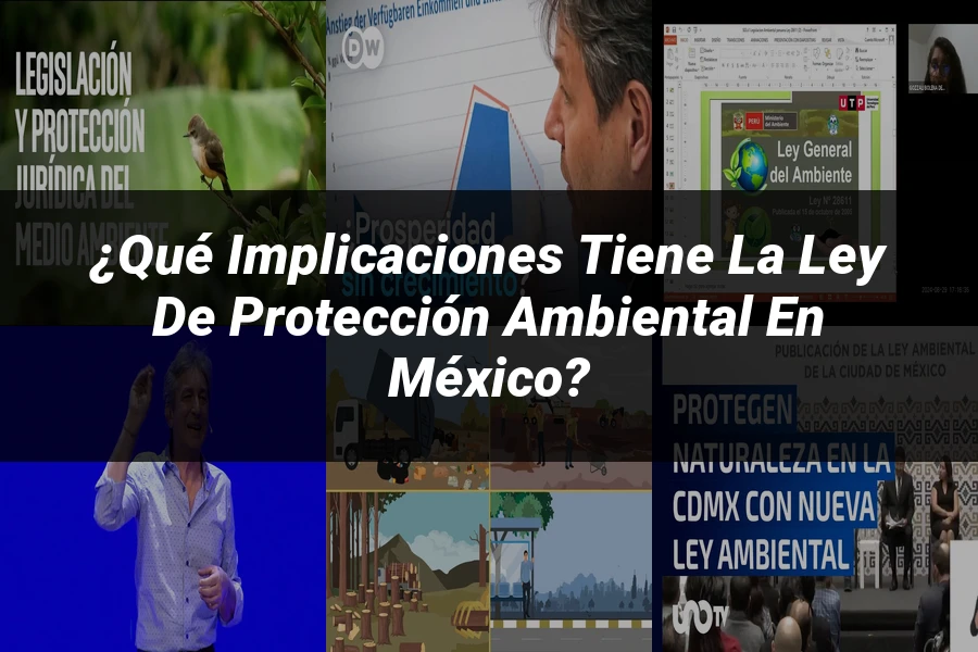"¿Qué Implicaciones Tiene la Ley de Protección Ambiental en México?"