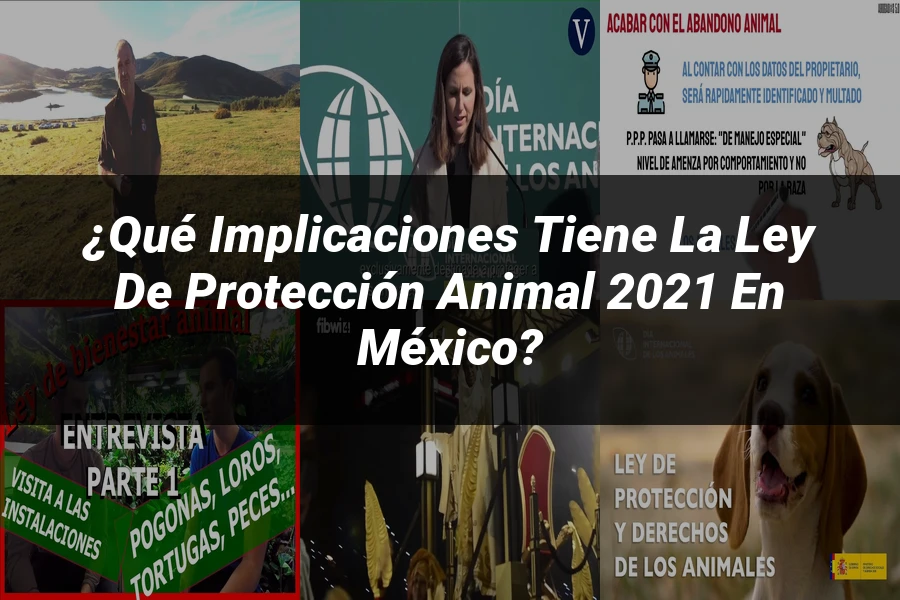 "¿Qué Implicaciones Tiene la Ley de Protección Animal 2021 en México?"