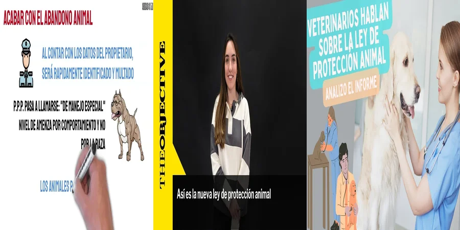"¿Qué Implicaciones Tiene la Ley de Protección Animal 2021 en México?"