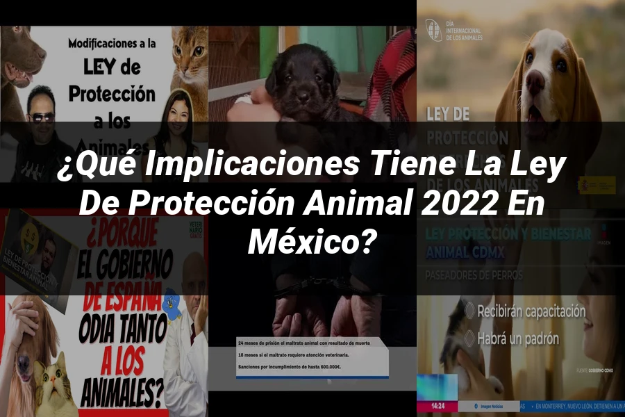 "¿Qué Implicaciones Tiene la Ley de Protección Animal 2022 en México?"