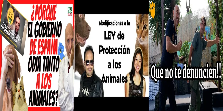 "¿Qué Implicaciones Tiene la Ley de Protección Animal 2022 en México?"