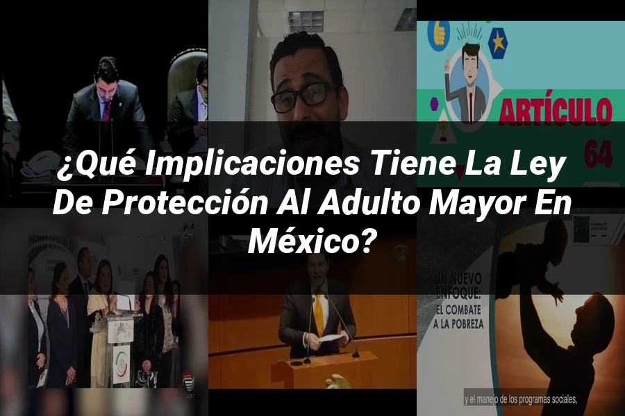 "¿Qué Implicaciones Tiene la Ley de Protección al Adulto Mayor en México?"