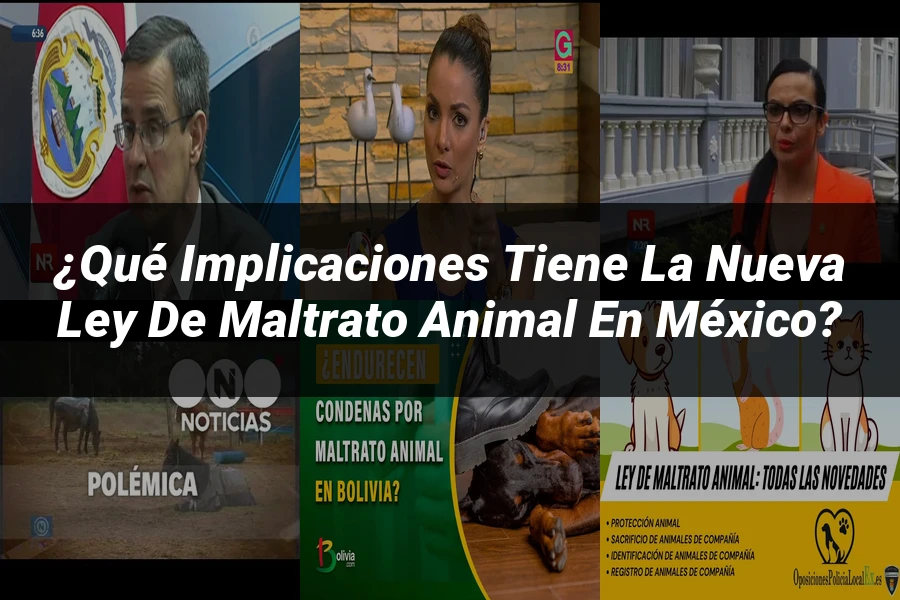 "¿Qué Implicaciones Tiene la Nueva Ley de Maltrato Animal en México?"
