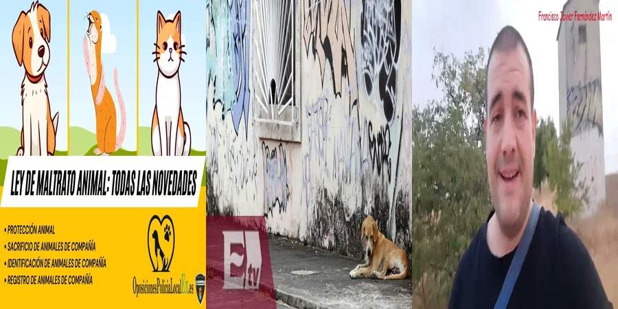 "¿Qué Implicaciones Tiene la Nueva Ley de Maltrato Animal en México?"