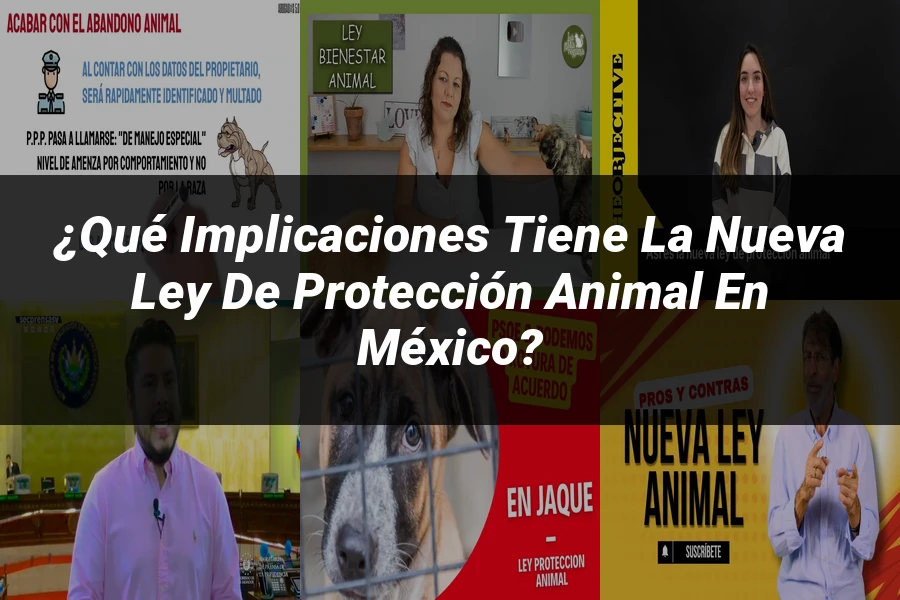 "¿Qué Implicaciones Tiene la Nueva Ley de Protección Animal en México?"