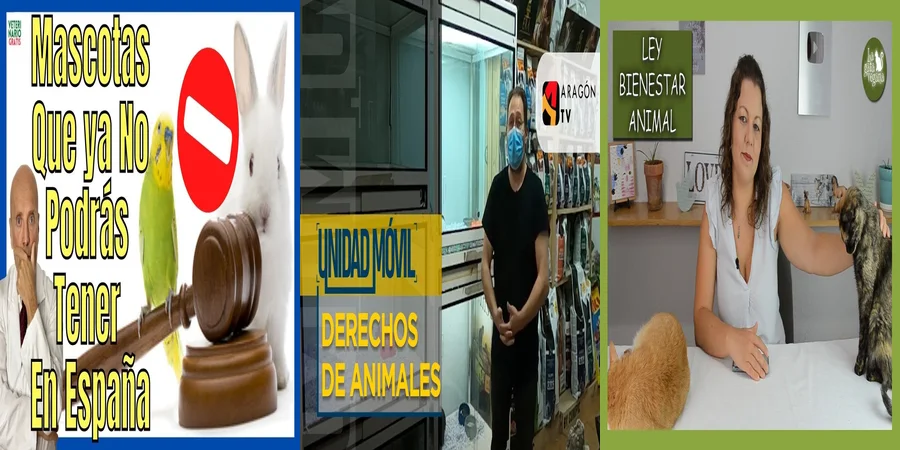 "¿Qué Implicaciones Tiene la Nueva Ley de Protección Animal en México?"
