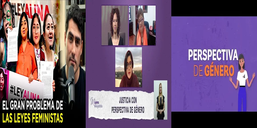 "¿Qué Implicaciones Tienen las Nuevas Leyes de Género en México?"