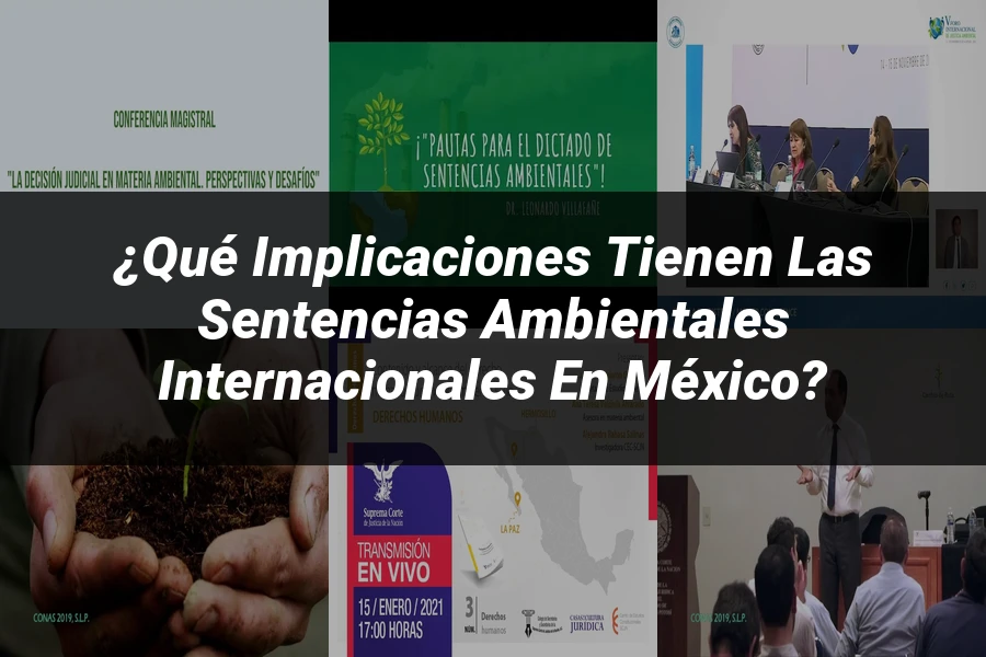 "¿Qué Implicaciones Tienen las Sentencias Ambientales Internacionales en México?"