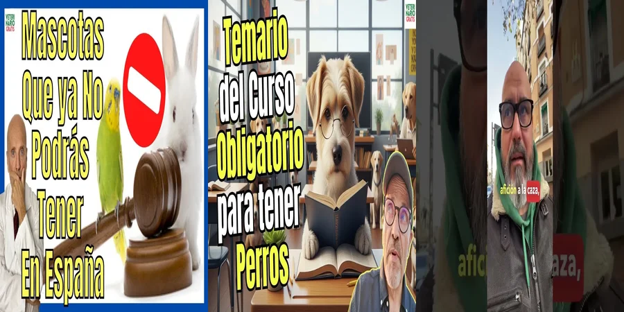"¿Qué Implicaciones Traerá la Nueva Ley de Bienestar Animal en México?"