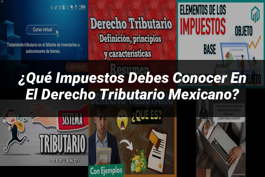"¿Qué Impuestos Debes Conocer en el Derecho Tributario Mexicano?"