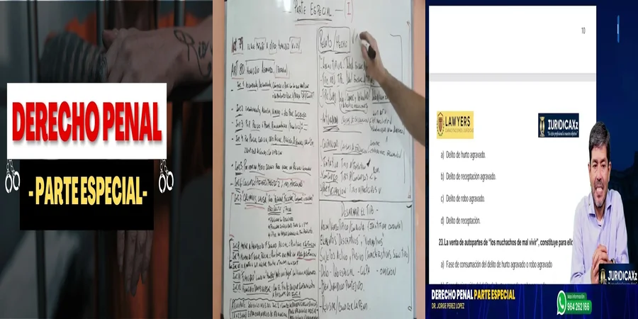 "¿Qué Incluye el Derecho Penal Especial en México? Un Resumen Clave"