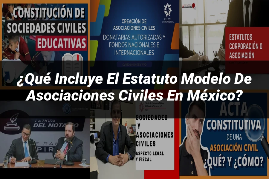 "¿Qué Incluye el Estatuto Modelo de Asociaciones Civiles en México?"