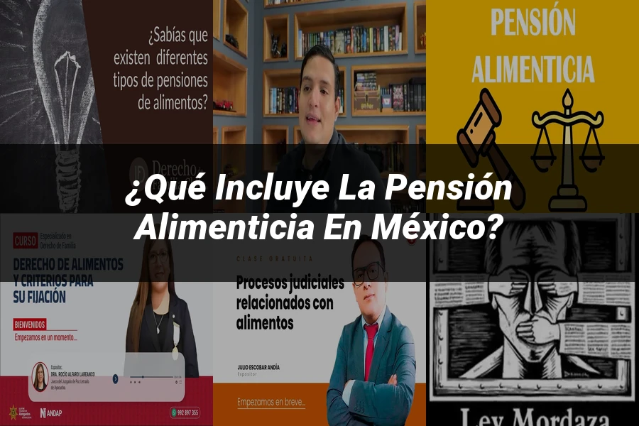 "¿Qué Incluye la Pensión Alimenticia en México?"