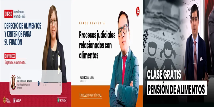 "¿Qué Incluye la Pensión Alimenticia en México?"