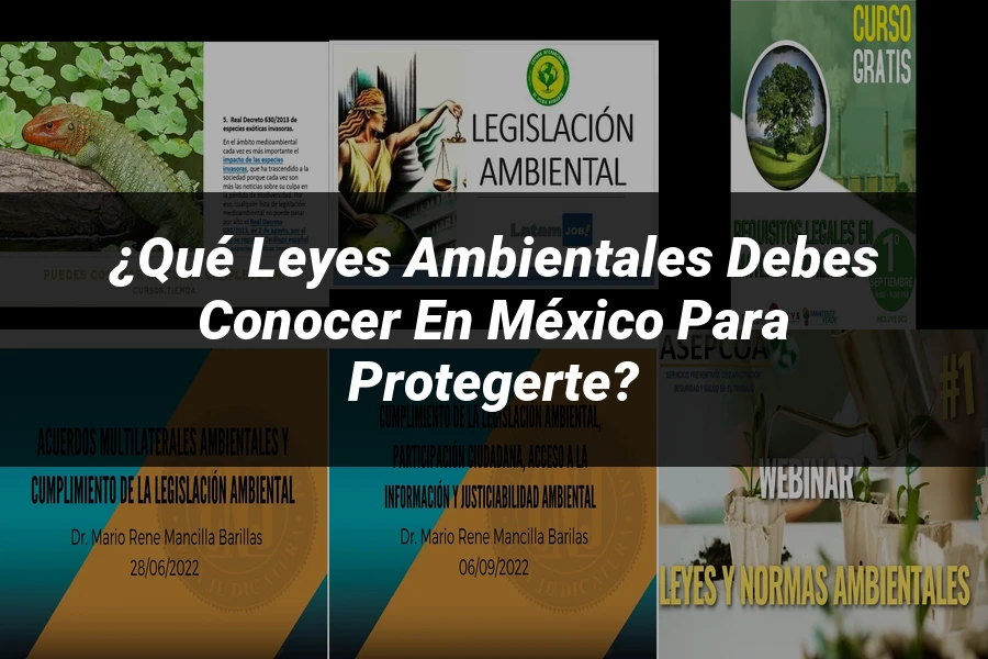 "¿Qué Leyes Ambientales Debes Conocer en México para Protegerte?"
