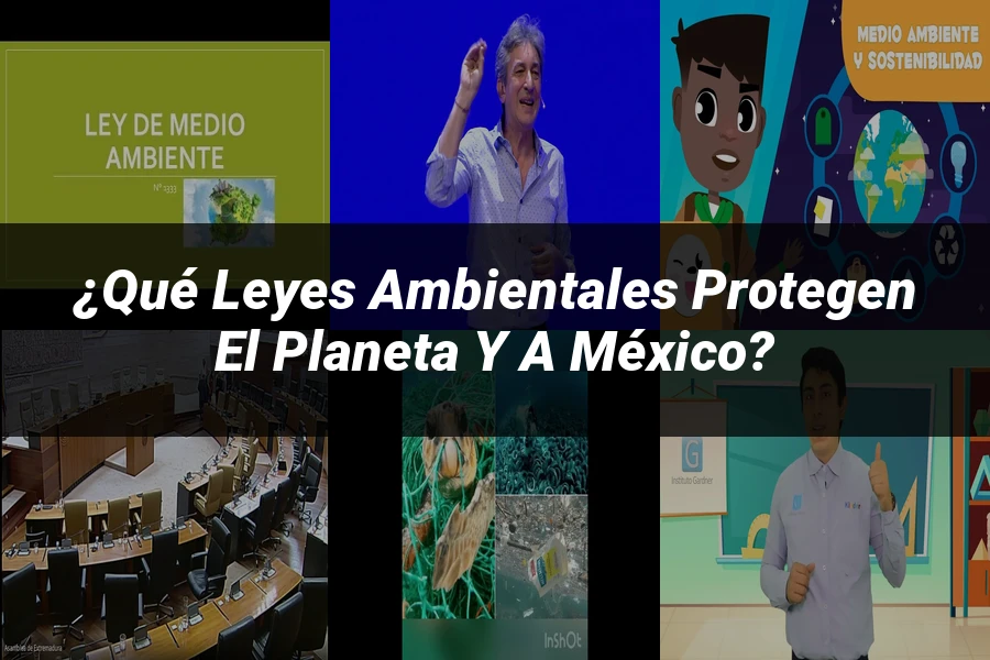 "¿Qué Leyes Ambientales Protegen el Planeta y a México?"