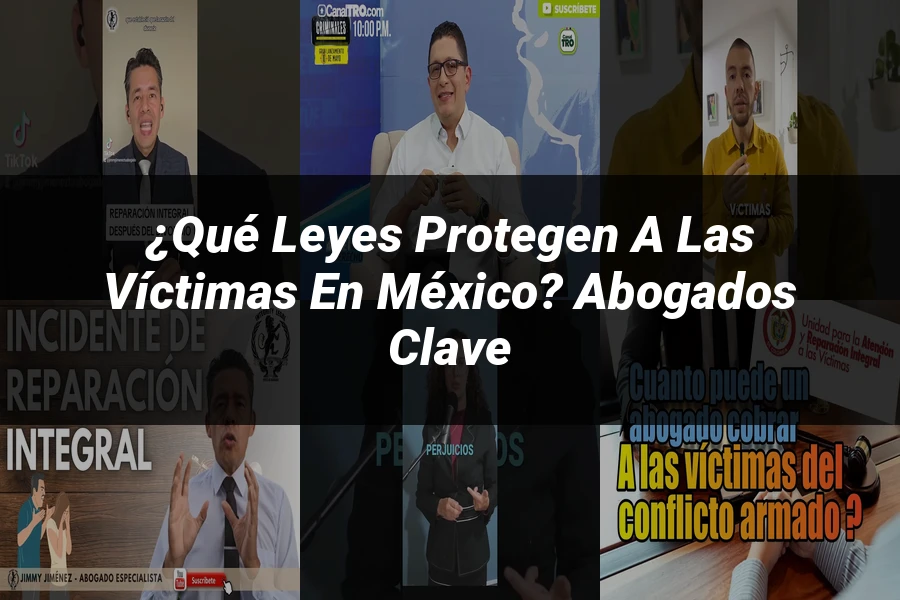 "¿Qué Leyes Protegen a las Víctimas en México? Abogados Clave"