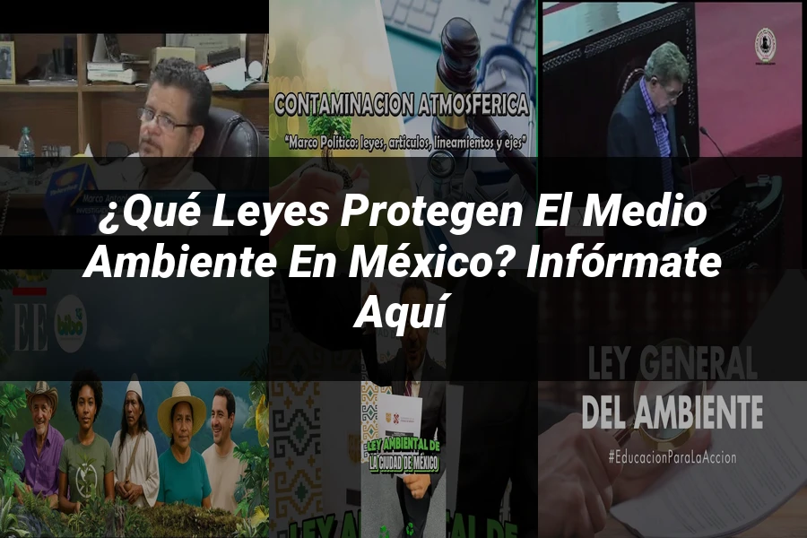 "¿Qué Leyes Protegen el Medio Ambiente en México? Infórmate Aquí"