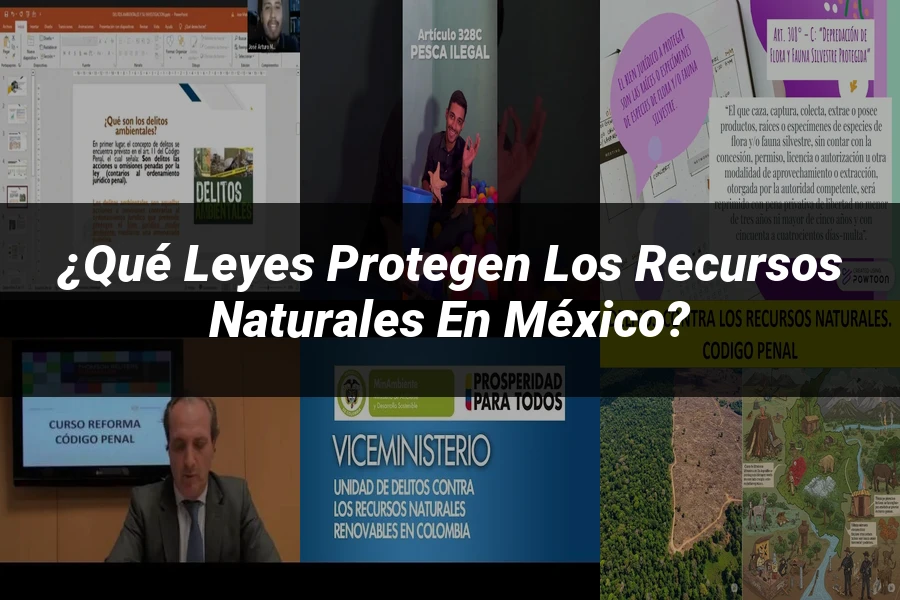 "¿Qué Leyes Protegen los Recursos Naturales en México?"