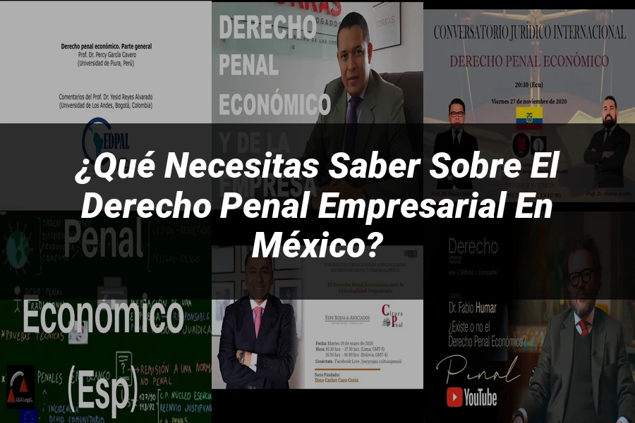"¿Qué Necesitas Saber sobre el Derecho Penal Empresarial en México?"