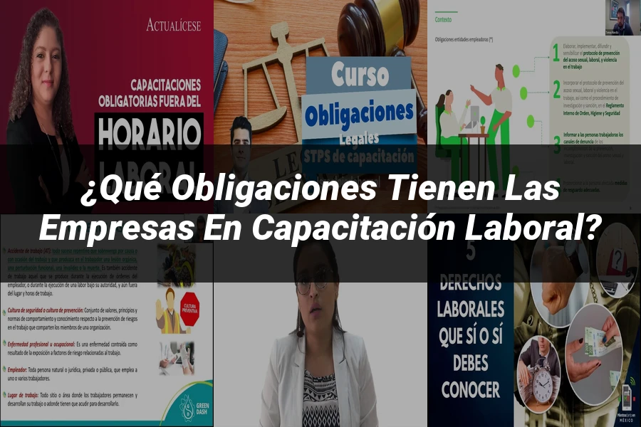 "¿Qué Obligaciones Tienen las Empresas en Capacitación Laboral?"