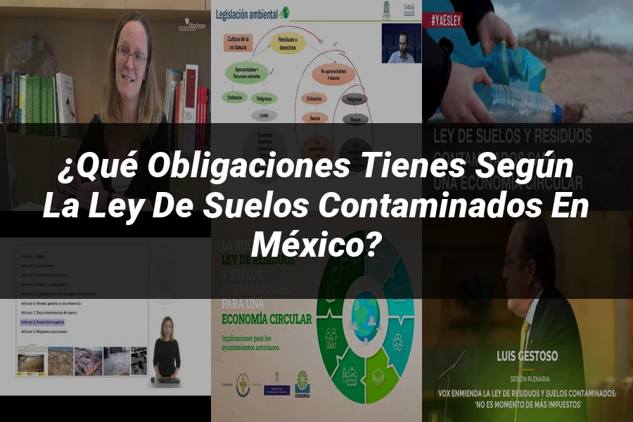 "¿Qué Obligaciones Tienes Según la Ley de Suelos Contaminados en México?"