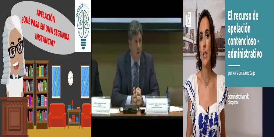 "¿Qué Ocurre Después de un Recurso de Apelación en México?"