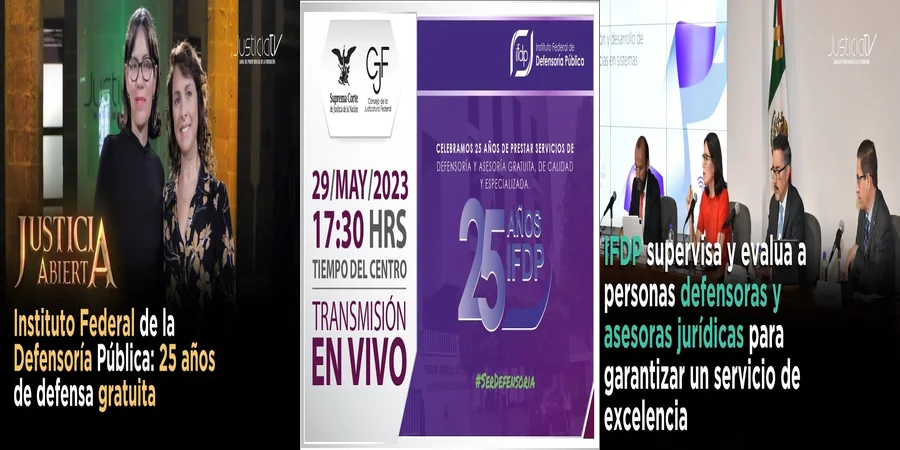 "¿Qué Ofrece el Instituto Federal de la Defensoría Pública en México?"