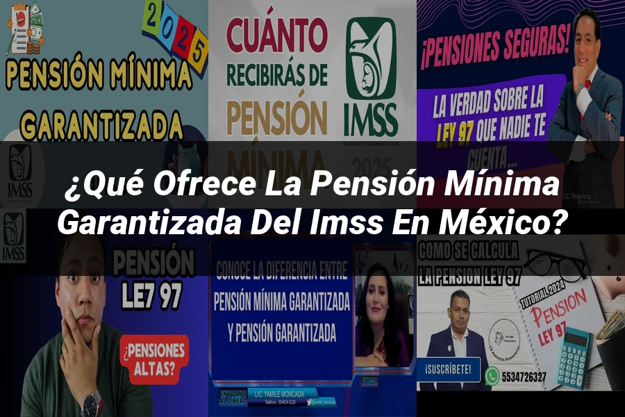 "¿Qué Ofrece la Pensión Mínima Garantizada del IMSS en México?"