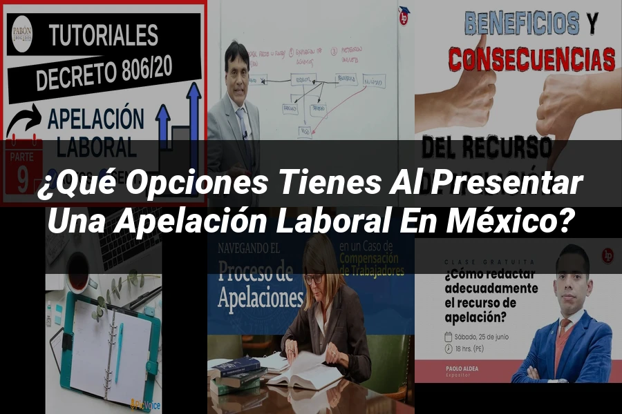 "¿Qué Opciones Tienes al Presentar una Apelación Laboral en México?"