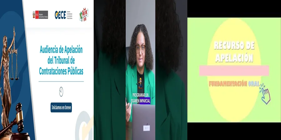 "¿Qué Opciones Tienes al Presentar una Apelación Laboral en México?"