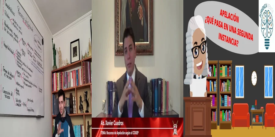 "¿Qué Opciones Tienes para Apelar un Juicio Ejecutivo en México?"