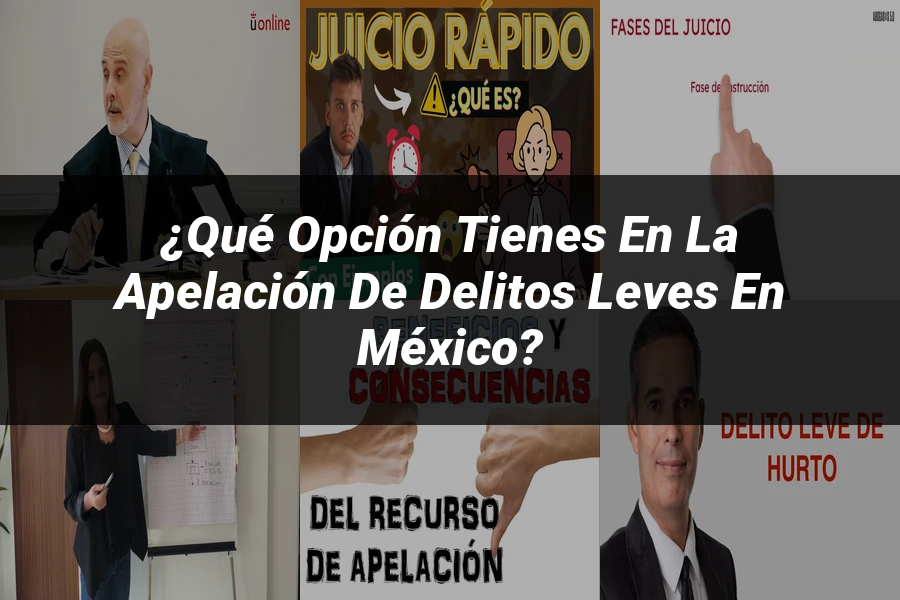 "¿Qué Opción Tienes en la Apelación de Delitos Leves en México?"
