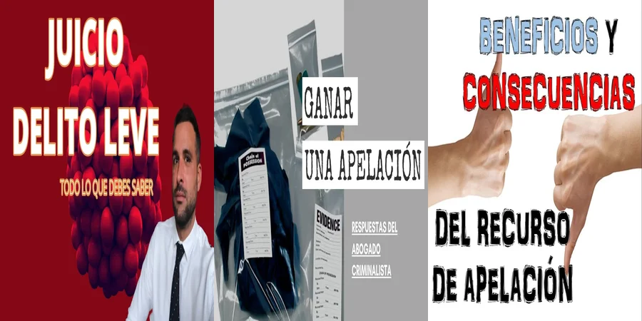 "¿Qué Opción Tienes en la Apelación de Delitos Leves en México?"