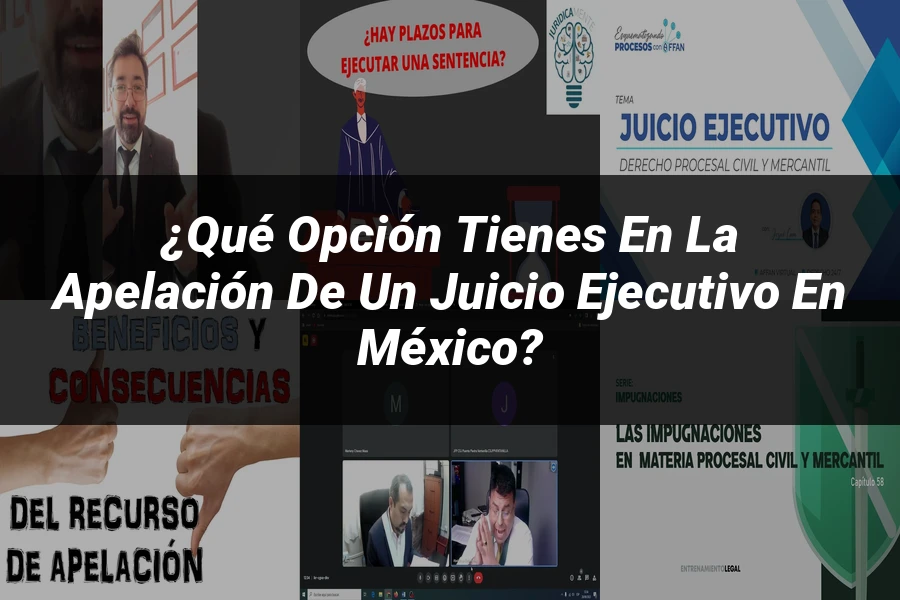 "¿Qué Opción Tienes en la Apelación de un Juicio Ejecutivo en México?"