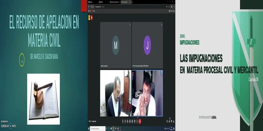 "¿Qué Opción Tienes en la Apelación de un Juicio Ejecutivo en México?"