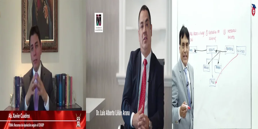 "¿Qué Oportunidades Te Brinda el Recurso de Apelación Civil en México?"