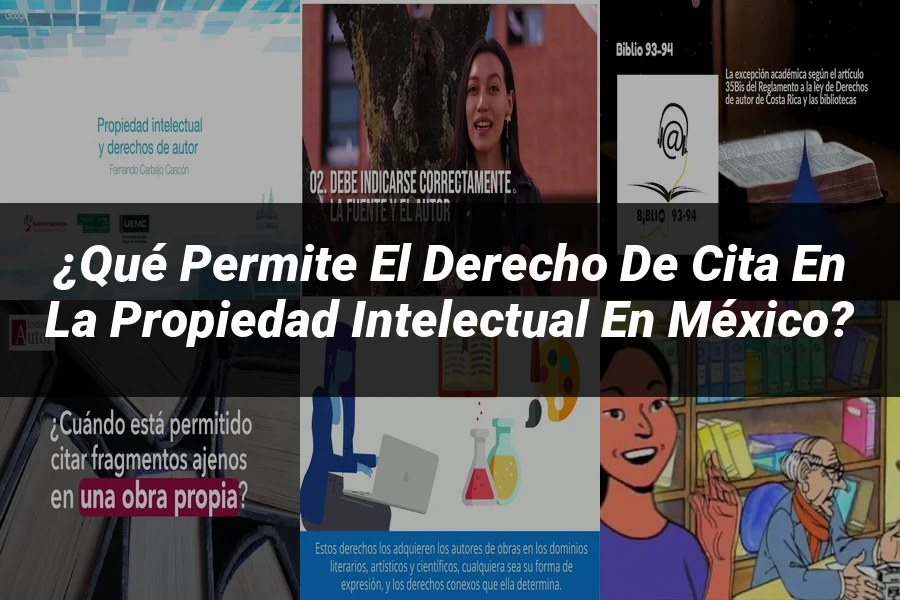 "¿Qué Permite el Derecho de Cita en la Propiedad Intelectual en México?"
