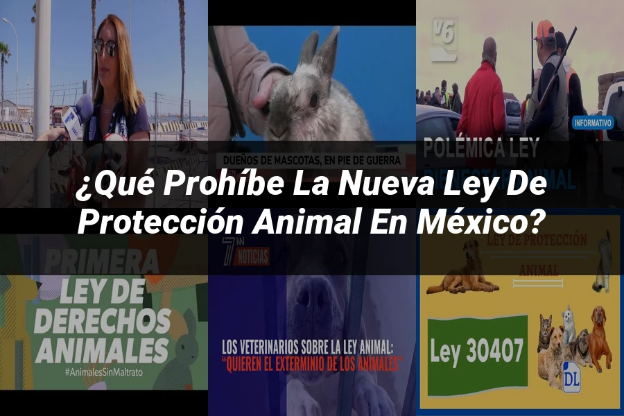 "¿Qué Prohíbe la Nueva Ley de Protección Animal en México?"