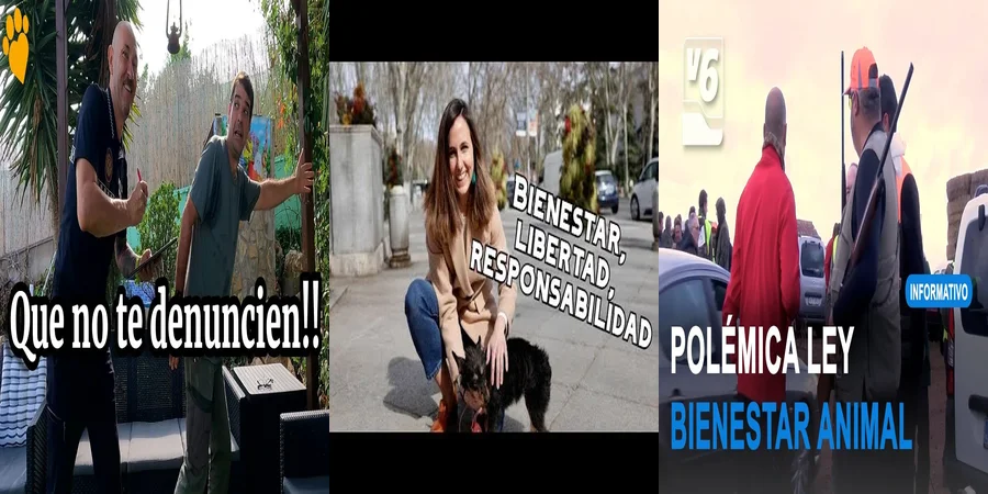 "¿Qué Prohíbe la Nueva Ley de Protección Animal en México?"