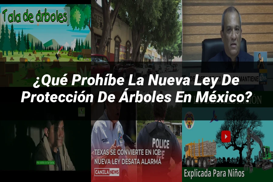 "¿Qué Prohíbe la Nueva Ley de Protección de Árboles en México?"